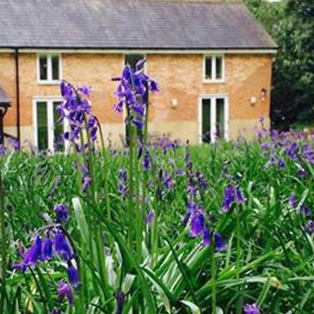 Grooms Cottage Alkham Εξωτερικό φωτογραφία